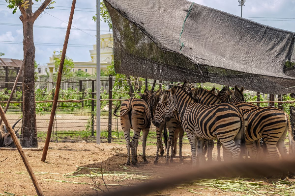 5D4N PHU QUOC ISLAND TOUR - photo 34